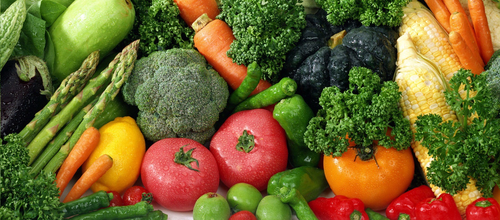 The Recipe for Success – Hockey Specific Nutrition Guidelines for Peak  Performance - Quest Hockey, Pittsburgh PA